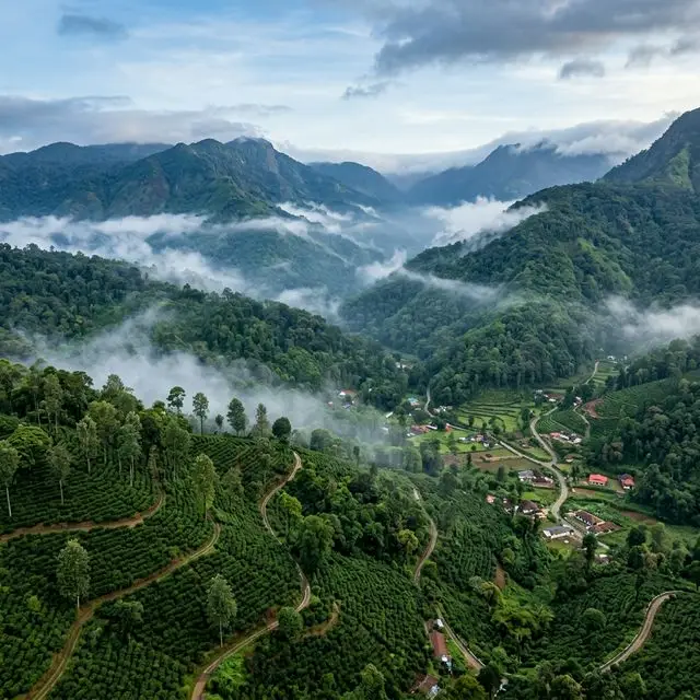 Trending Mysore Taxi Deal: Mysore to Coorg