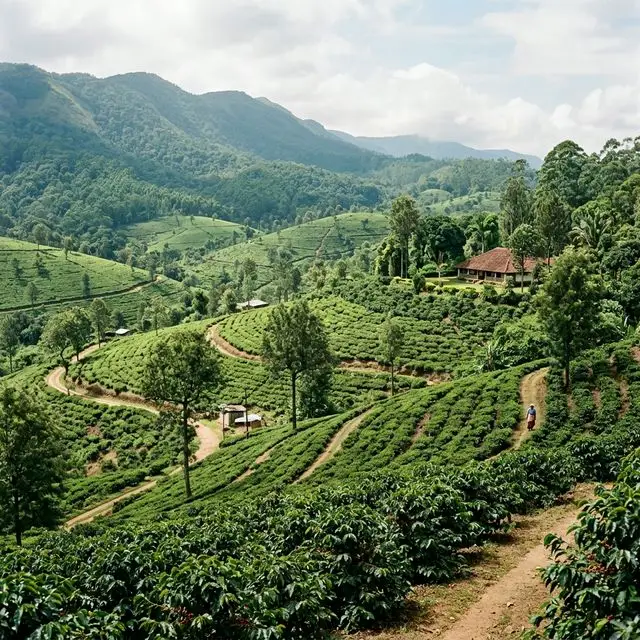 Chikmagalur Day Trip - Mysore Tour Package